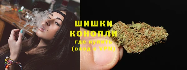 стафф Богданович