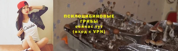 стафф Богданович