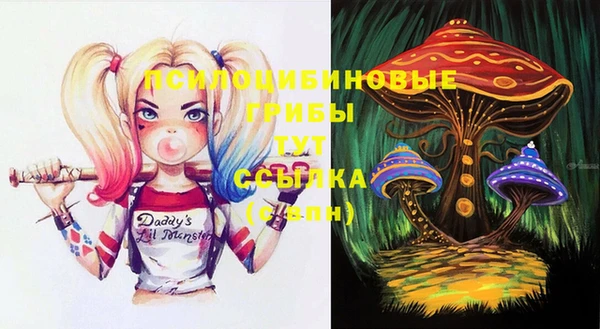 стафф Богданович