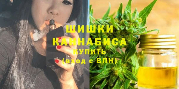 стафф Богданович