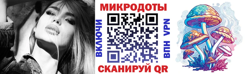 магазин    Тотьма  Галлюциногенные грибы Psilocybine cubensis 